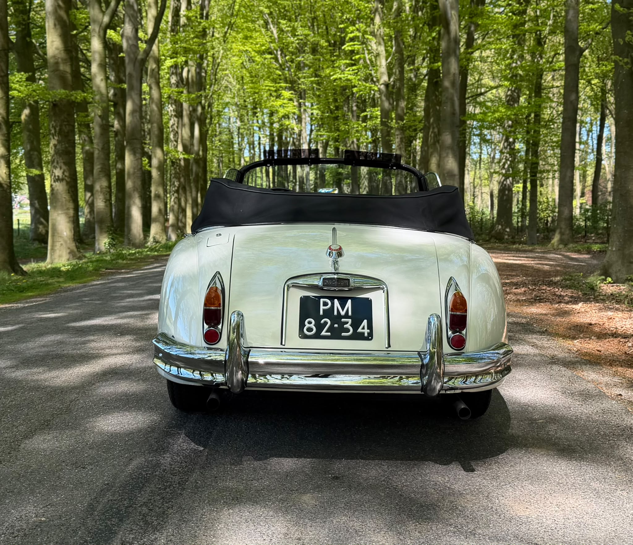 JAGUAR Xk 150 — foto 18