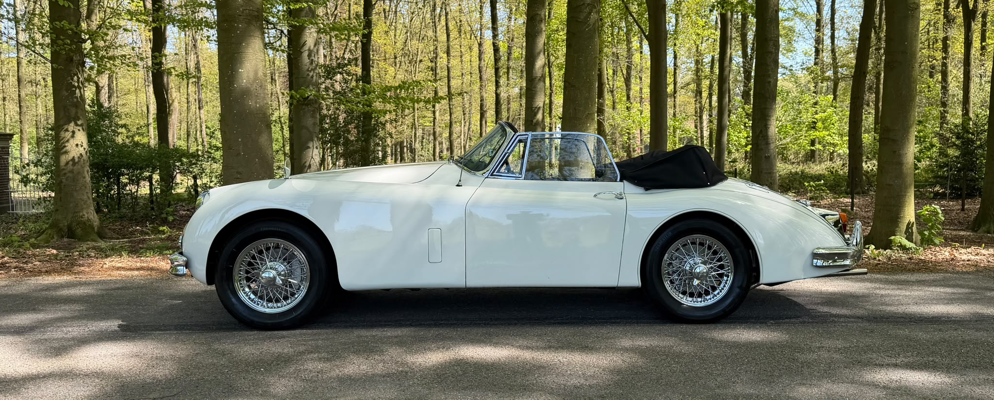 JAGUAR Xk 150 — foto 15