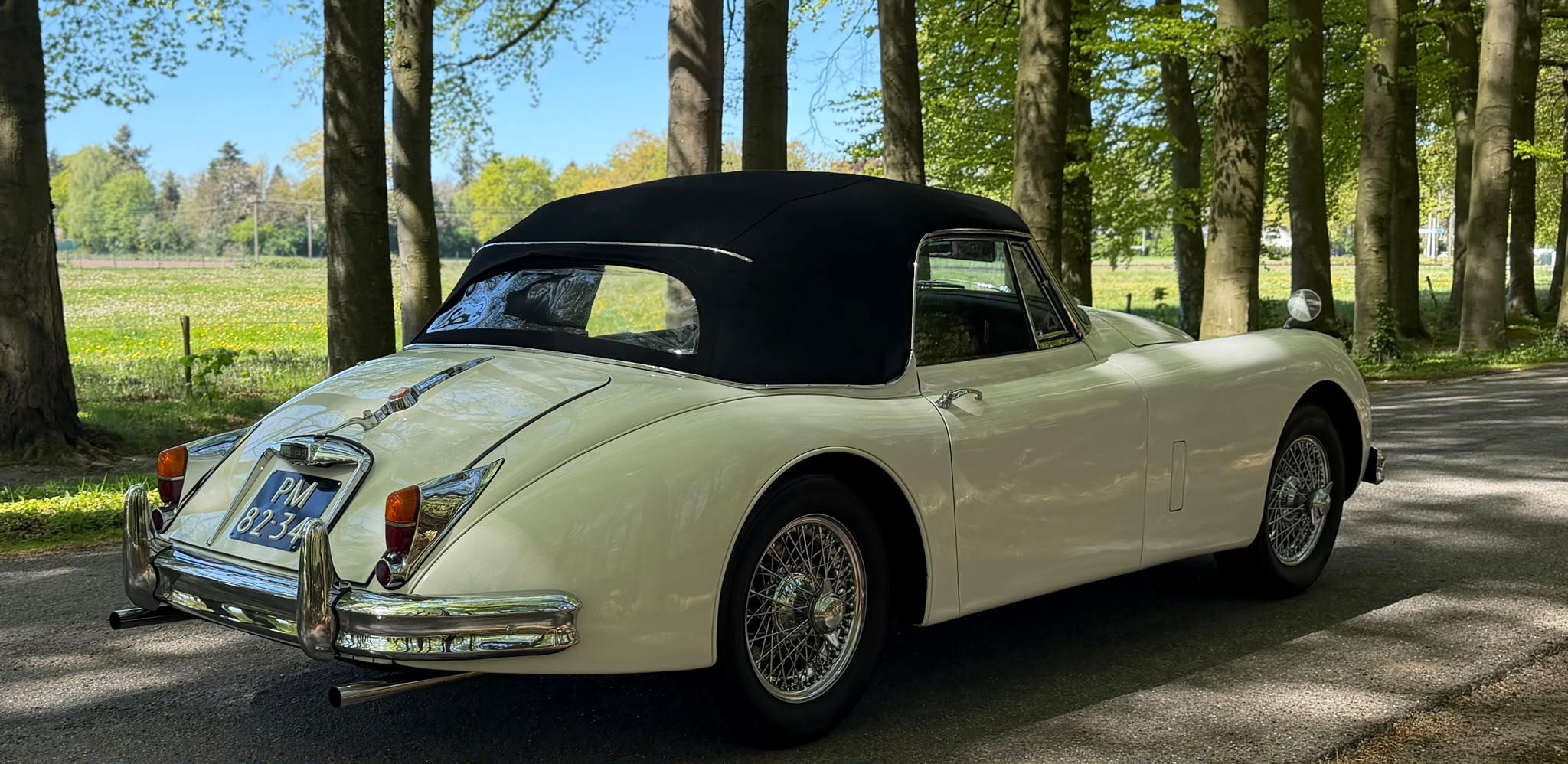 JAGUAR Xk 150 — foto 19
