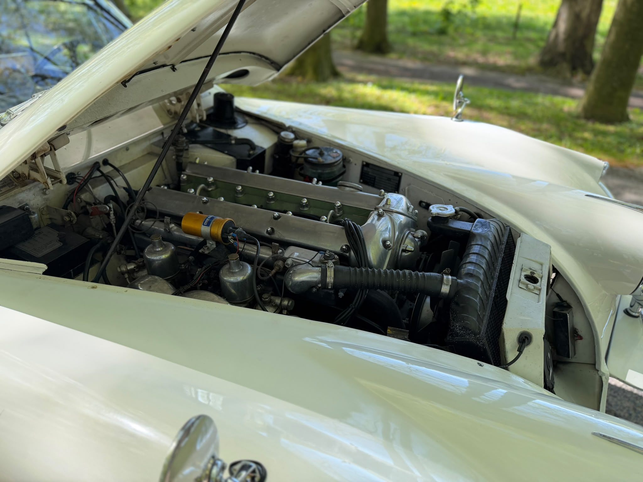 JAGUAR Xk 150 — foto 4