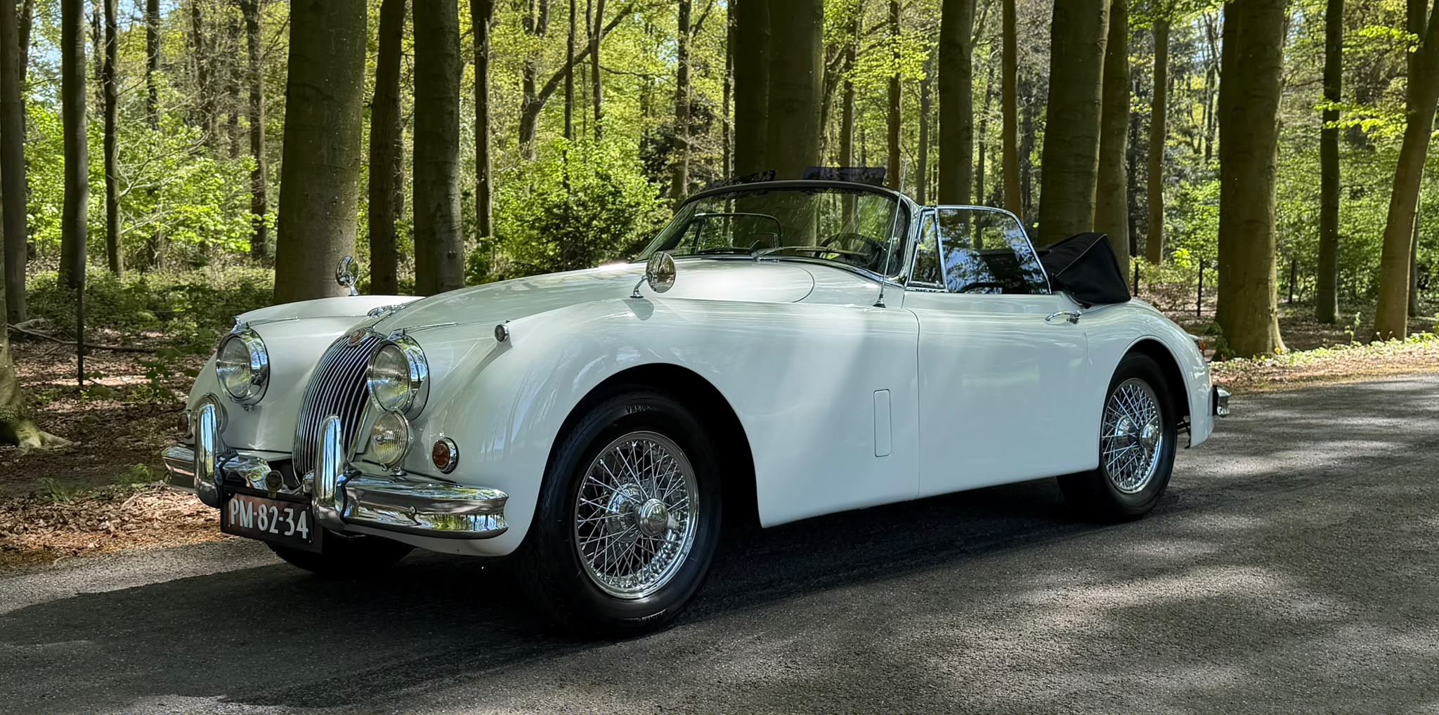JAGUAR Xk 150 — foto 17
