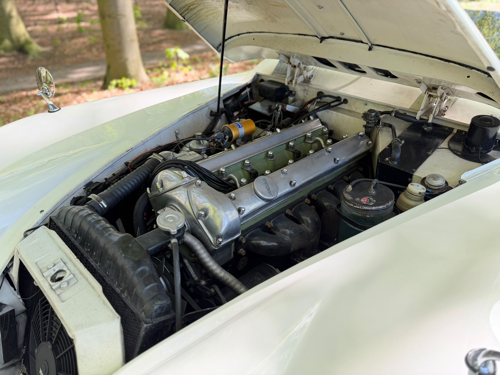 JAGUAR Xk 150 — foto 3